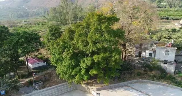 美丽会东县,美丽会东简谱