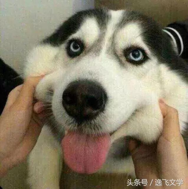 暴富秘籍怎么成为千万富翁,千万富翁致富的经验