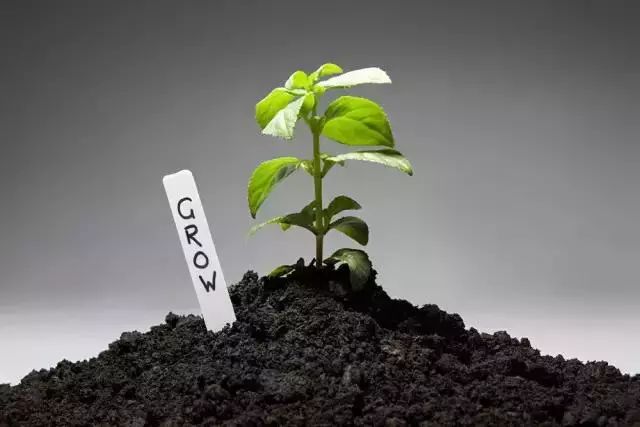 枯草芽孢杆菌不能和哪些肥料使用,枯草芽孢杆菌不能和什么药使用