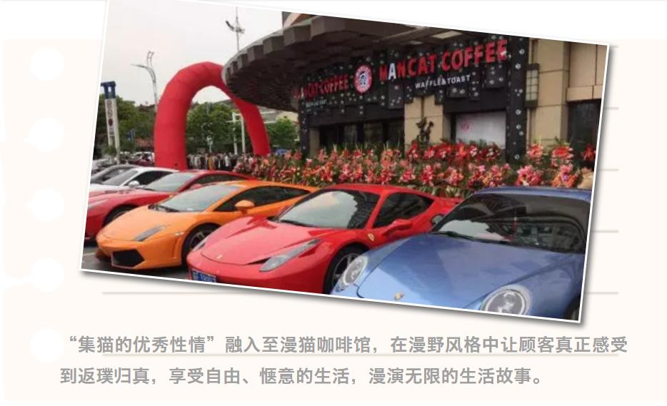 漫猫咖啡品牌有哪些,漫猫咖啡