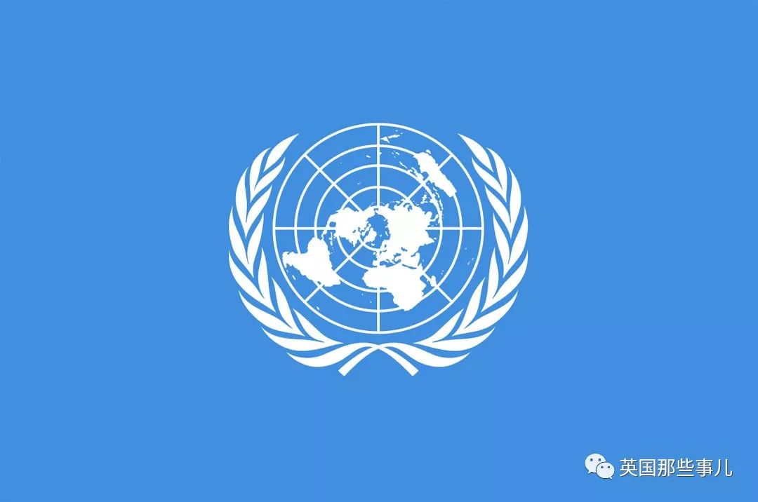 富豪假扮游客去谈生意，一出手就救下这个濒临灭绝的小国家，太魔幻