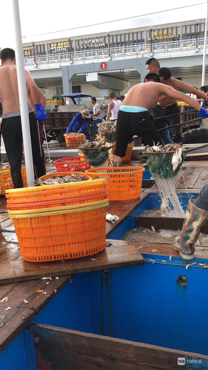 游客去舟山怎么买海鲜,舟山哪个岛买海鲜便宜实惠