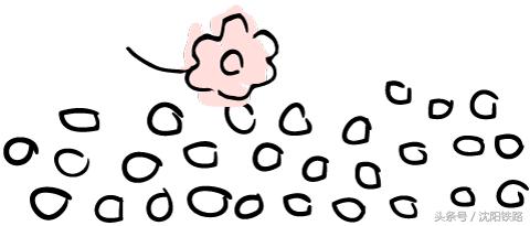 丹东大连鲅鱼圈自驾游,逛吃逛吃专列