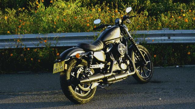 小姐姐为啥大爱硬汉？请看哈雷给出的答案