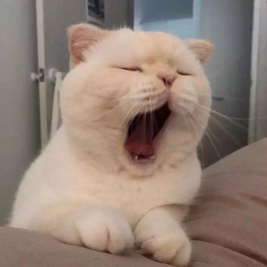 北漂的游子很想家,北漂思乡之情