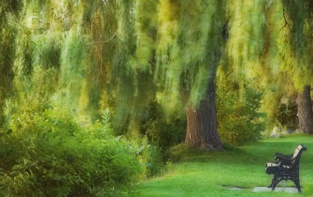 上海有个很美的公园,上海特别美而且安静的公园