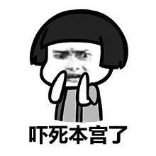 上海浦东机场海关鲜活走私案,上海浦东机场海关抓捕