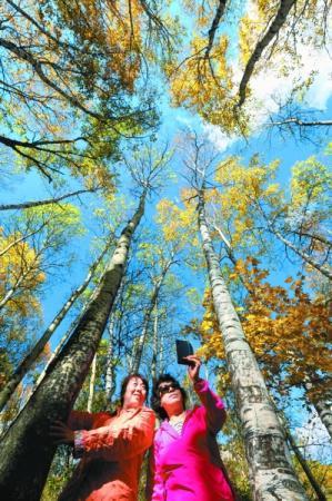 喇叭沟门原始森林层林尽染,喇叭沟门原始森林公园五一