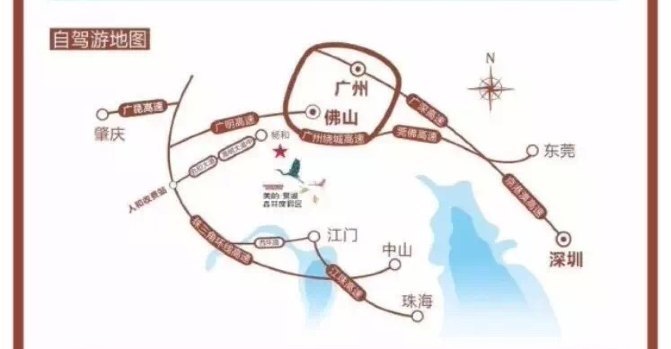 第一次采摘火龙果的体验,高明采摘火龙果