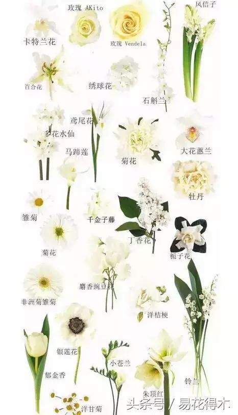 复古手捧花的最佳搭配,手捧花最佳搭配图片