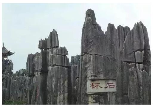 上海2小时高铁旅游线路,魔都沿途风景随拍