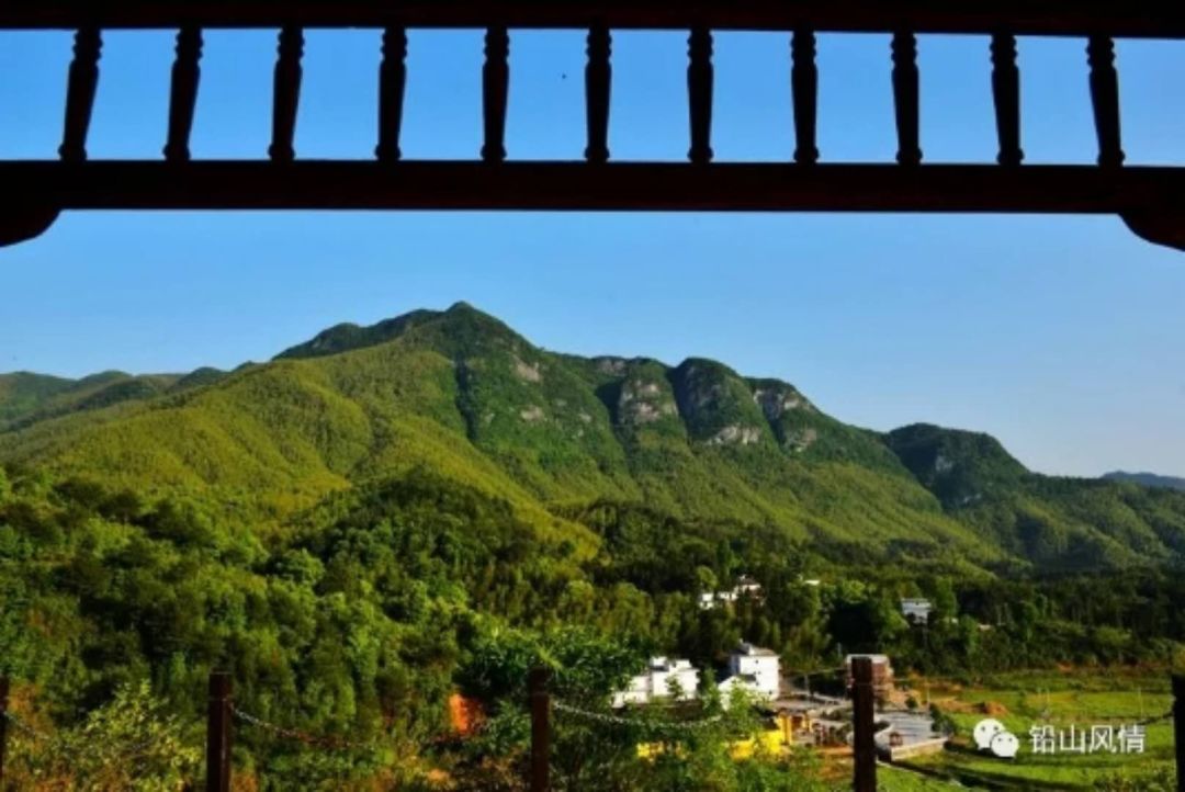 「荐读」岩前，既有故事也有诗