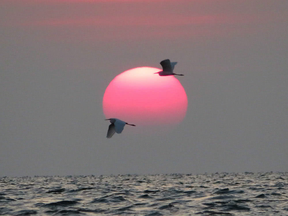 初升的红日很漂亮，配上海面的波浪，很唯美！
