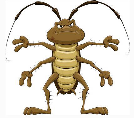 中药材蟑螂功效,中药材蟑螂别名