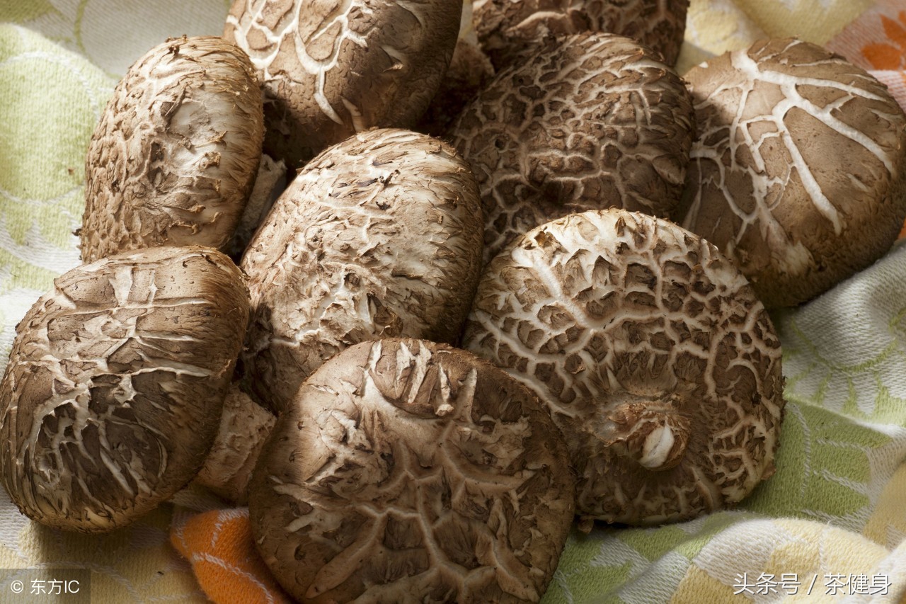 秋季必吃7大最佳养生蔬菜,十大营养蔬菜排名图片