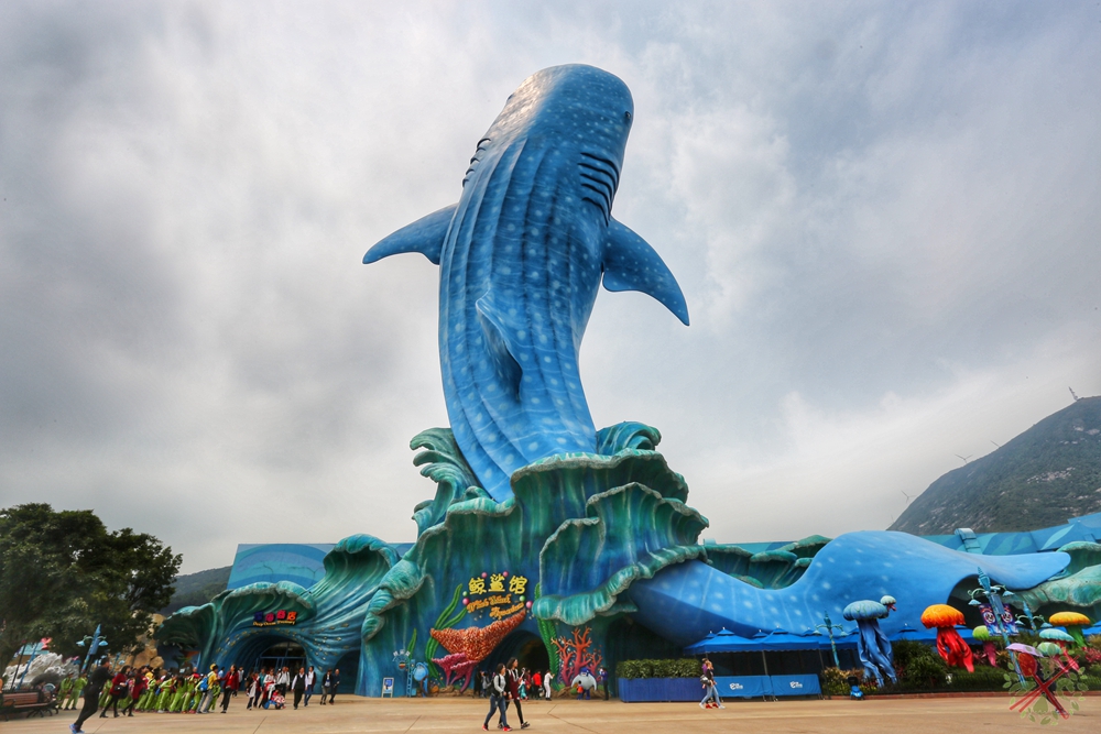 珠海长隆海洋王国企鹅馆北极熊馆,珠海长隆企鹅海洋王国攻略