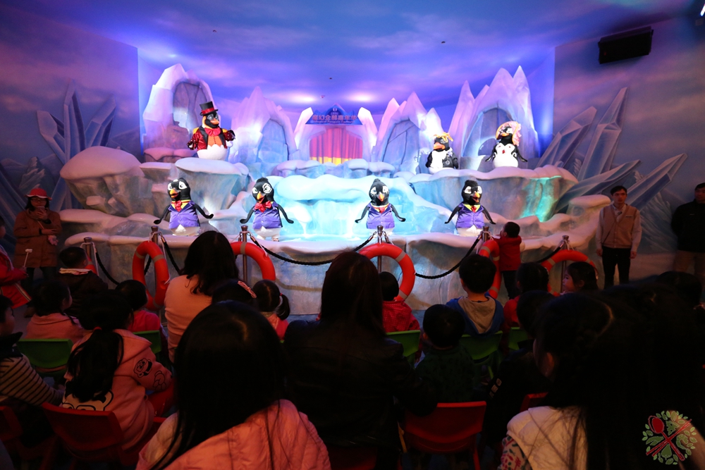 珠海长隆海洋王国企鹅馆北极熊馆,珠海长隆企鹅海洋王国攻略