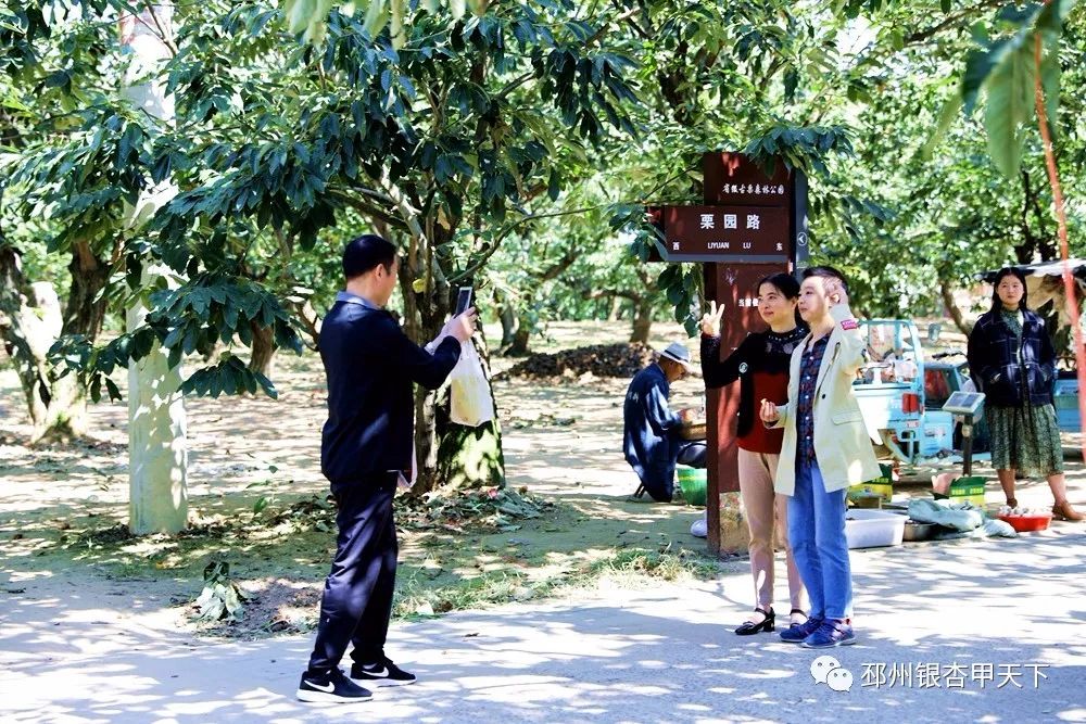 国庆假期去哪玩？邳州这6处景点少走一处都是遗憾！