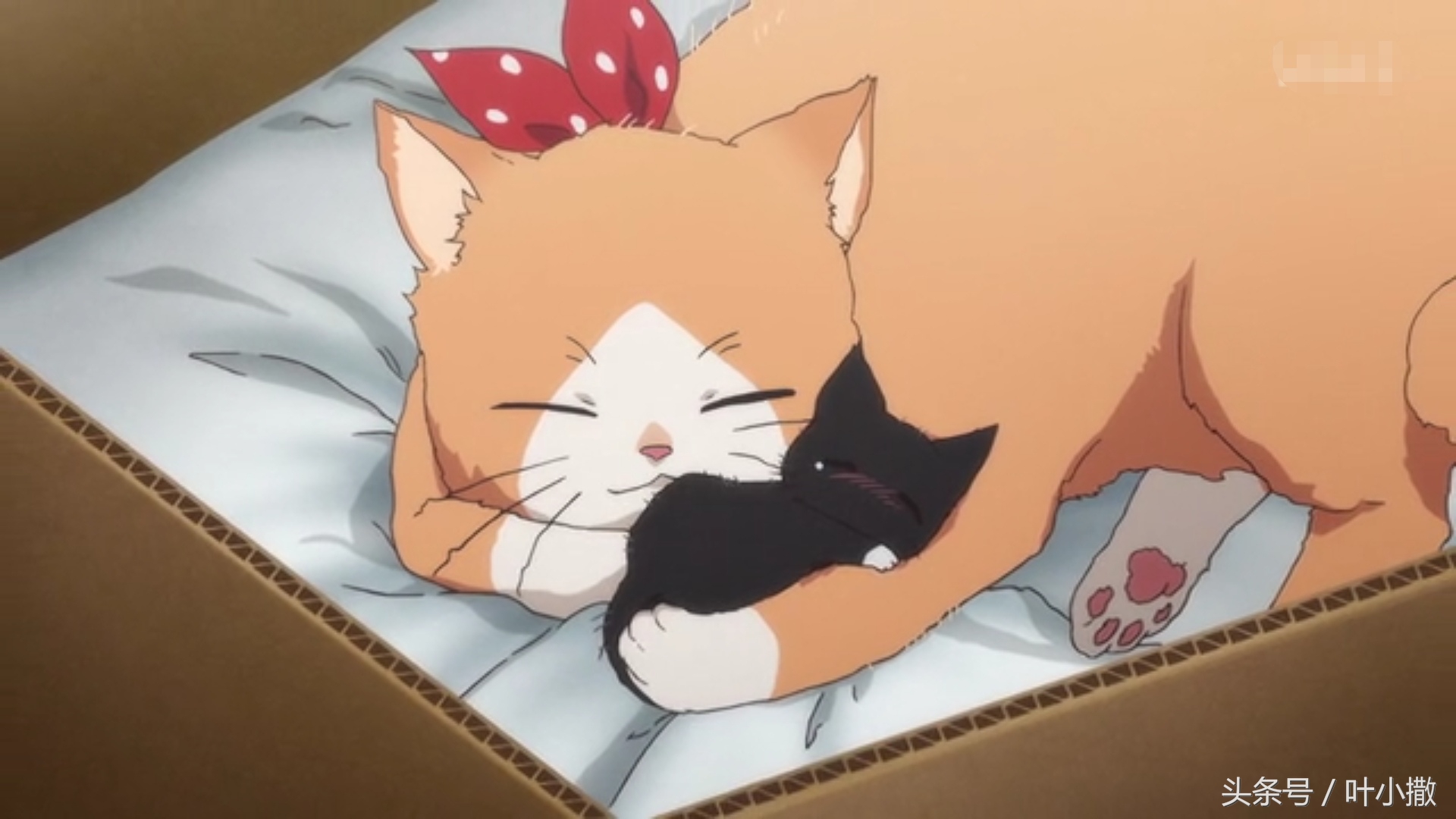 一部美食与撸猫齐飞，基佬与腐女共乐的动漫