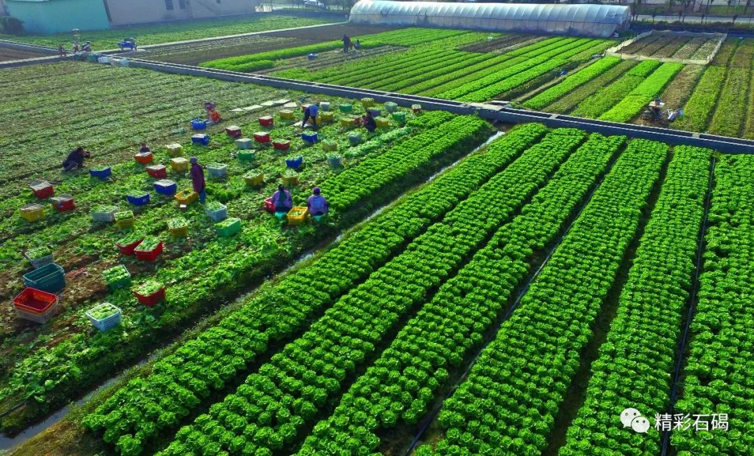 2018年度全国百强镇出炉！石碣榜上有名！