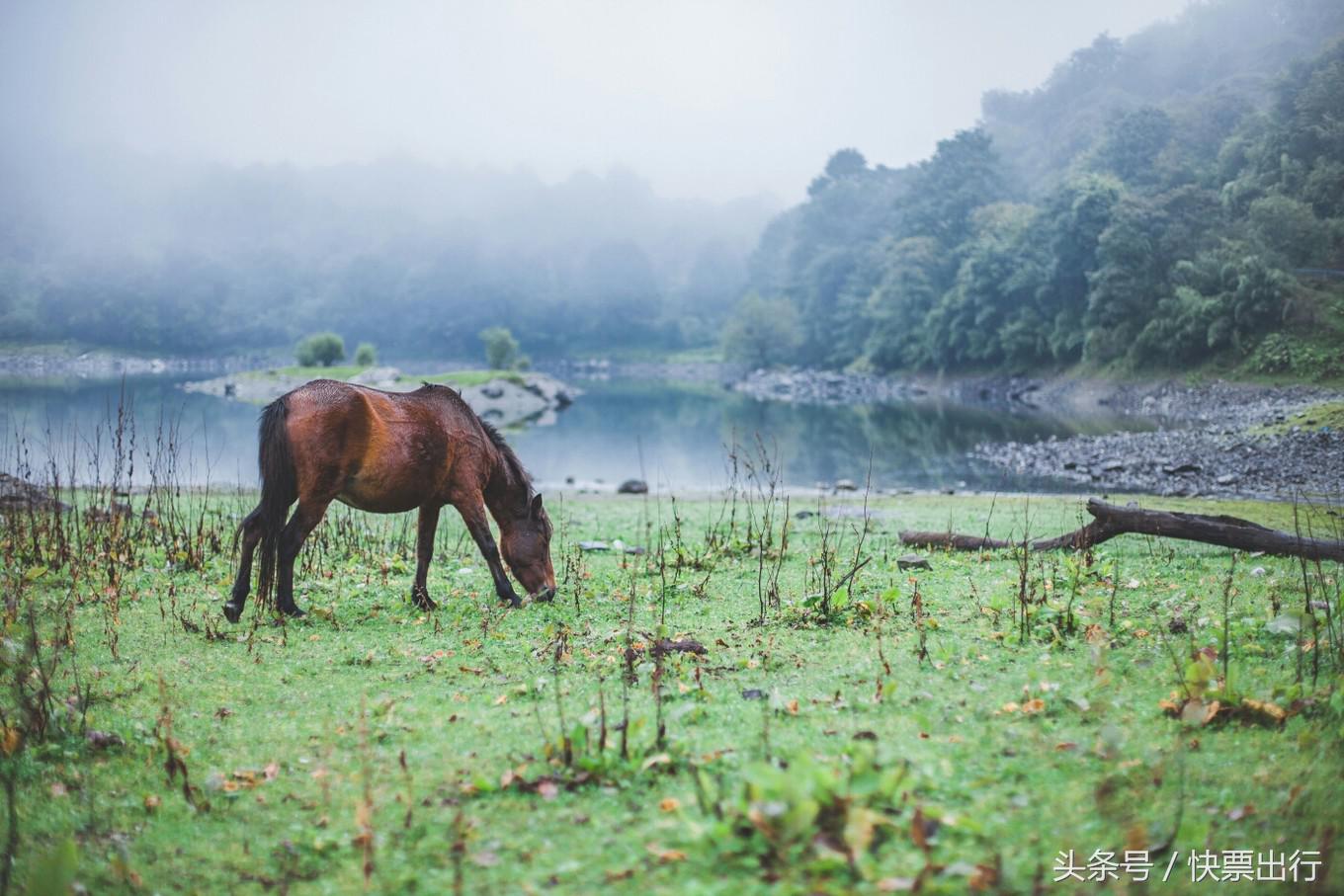 2020孟获城冶勒湖自驾攻略,孟获城冶勒湖自驾游攻略绵阳