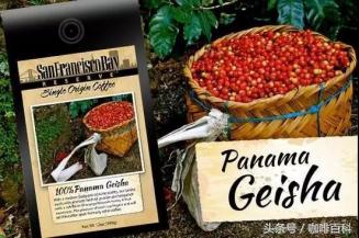 小白如何在咖啡馆点咖啡?常见菜单里咖啡种类讲解