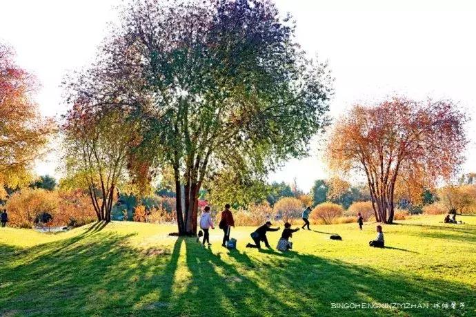 哈尔滨隐藏的景点伏尔加庄园,哈尔滨国庆节去哪里