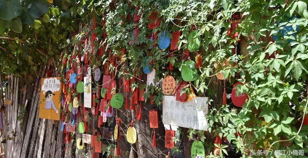 徐闻最有名的村庄,徐闻最出名的村子