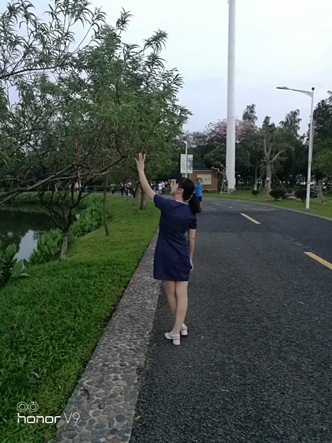 养森瘦瘦包有用过的吗,养森瘦瘦包只有晚上用有效果吗