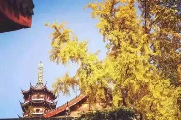 出去人从众,玄武为你安排了身边的风景