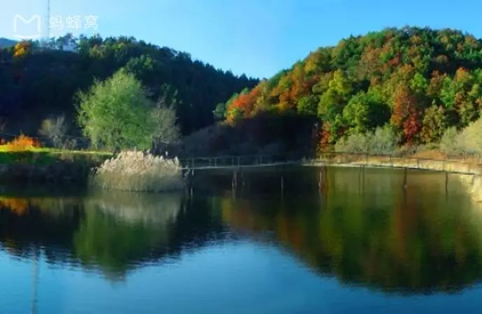适合带着去旅行的宠物,宠物旅行攻略如何带宠物出门旅游