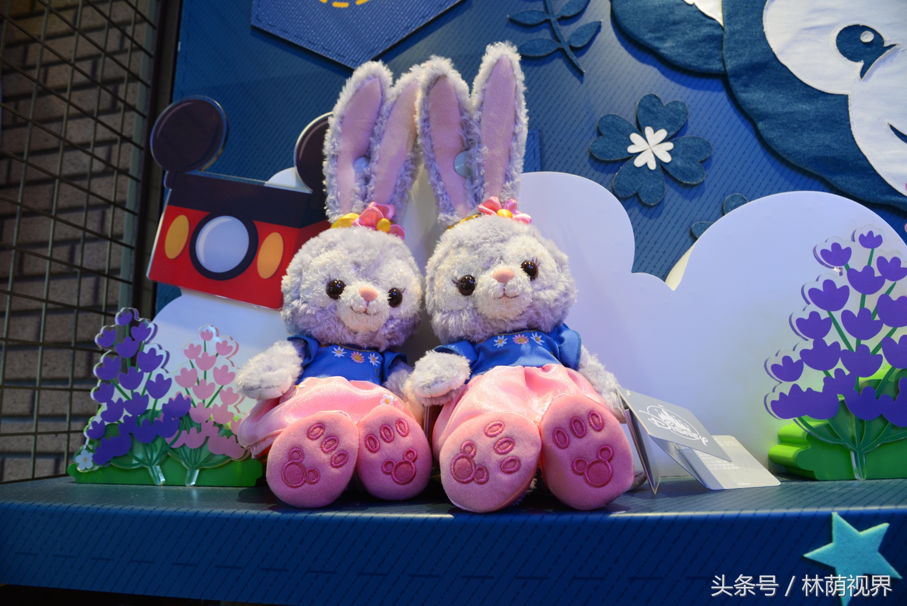 上海深度一日游,浦东金桥镇一日游