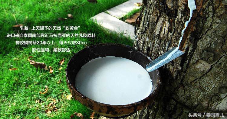 天然乳胶和合成乳胶的区别,如何区分天然乳胶和人工合成乳胶