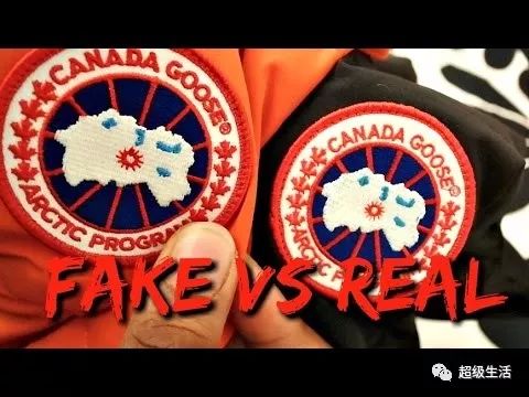 加拿大鹅卖假货,加拿大鹅打架事件