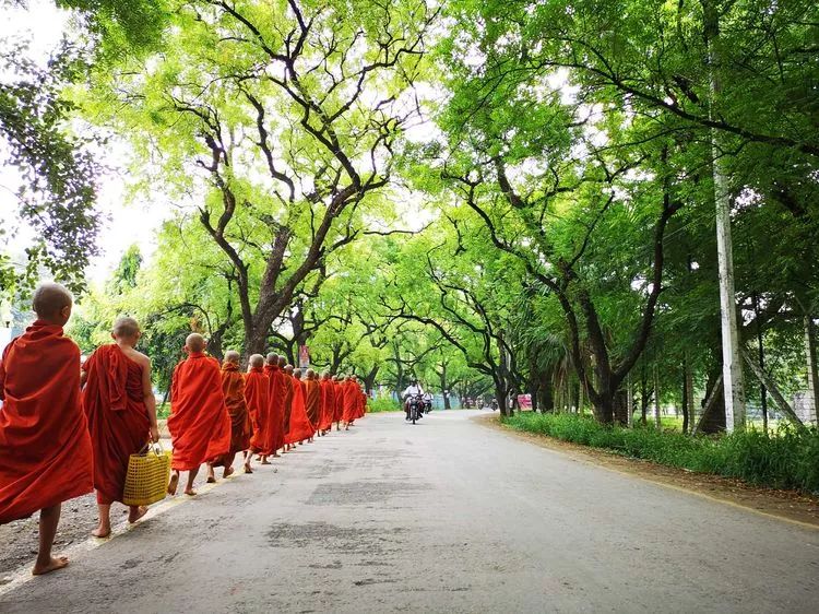 一个人的自由行西藏,一个人的泰国自由行