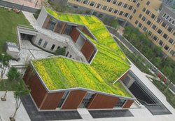 种植屋面防水材料是否要求耐穿刺,种植屋面的设计防水施工技术