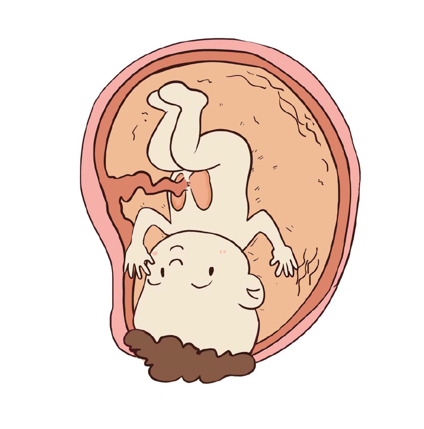 孕妈哪些反应说明胎儿发育得很好,孕妈有这些反应说明怀了个机灵鬼