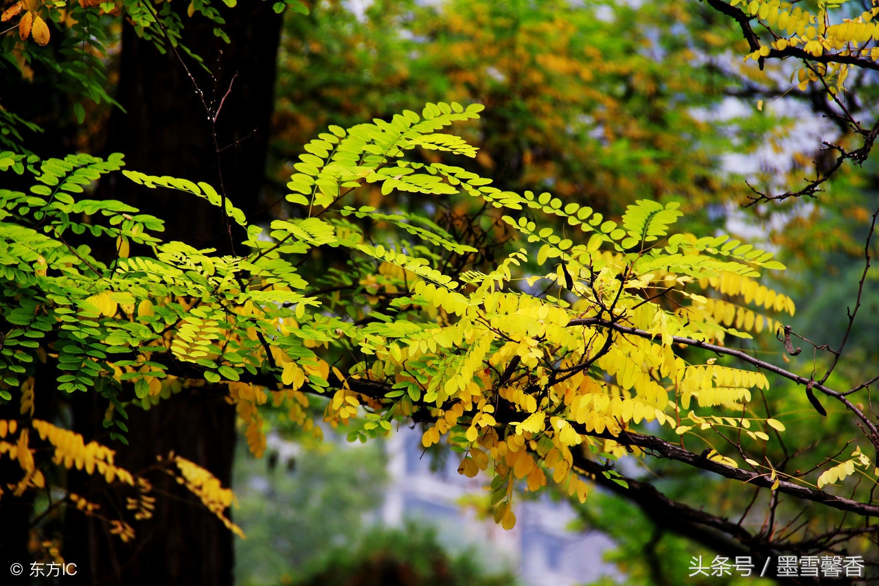 对待得寸进尺的人无需一忍再忍,不要把我的容忍当作你的得寸进尺