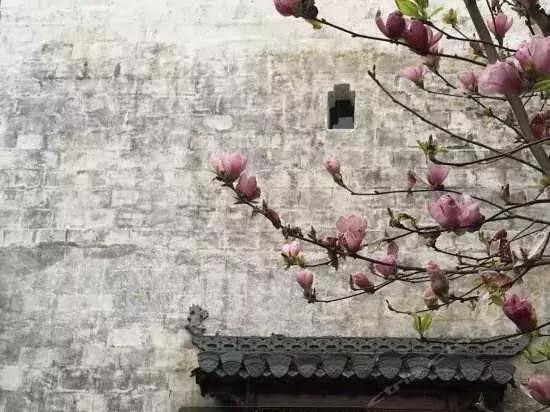 住进婺源秋色里的10家特色民宿,婺源风景最美的民宿