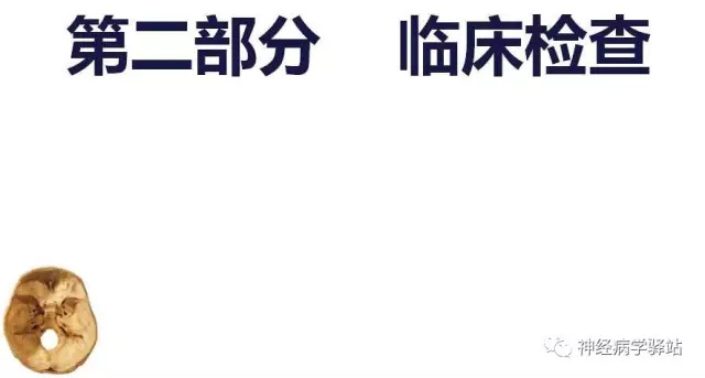 舌下神经和舌咽神经的解剖图,颊神经舌神经解剖图