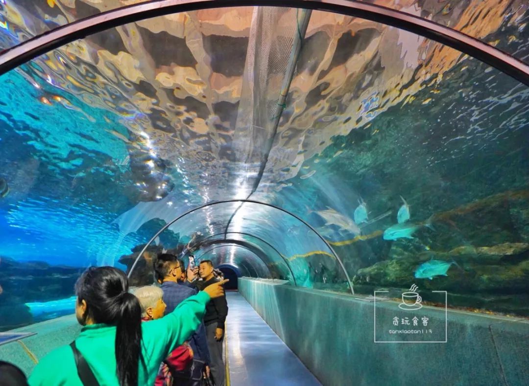 秦皇岛北戴河区必玩的十大景点,秦皇岛北戴河旅游详细攻略