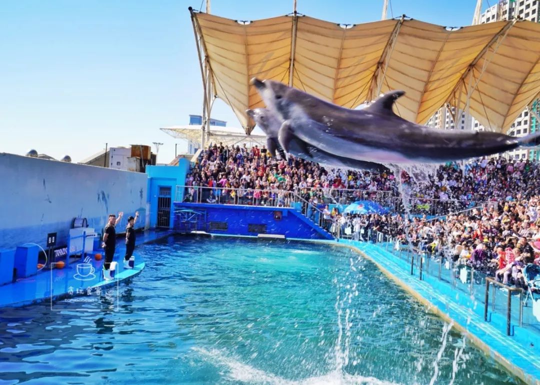 秦皇岛北戴河区必玩的十大景点,秦皇岛北戴河旅游详细攻略