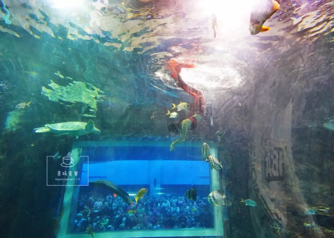 秦皇岛最值得去的旅游景点有哪些,秦皇岛值得玩的地方秋天