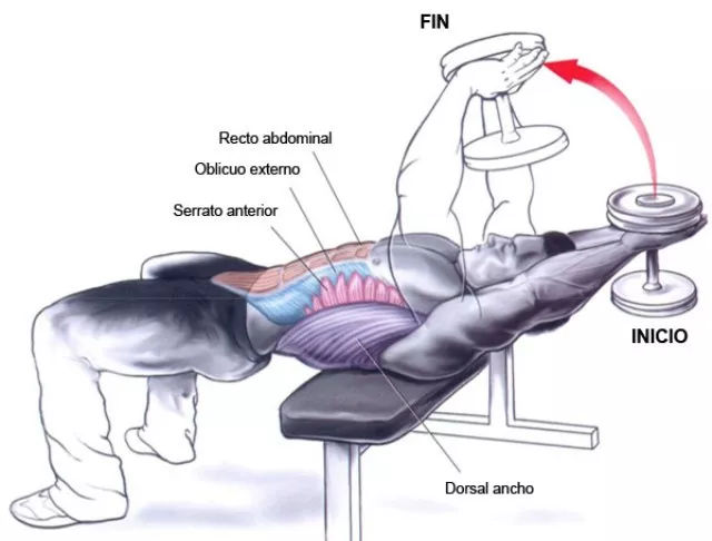 胸肌训练六个动作告别薄弱上胸,卧推杠铃练胸肌最好的6个动作