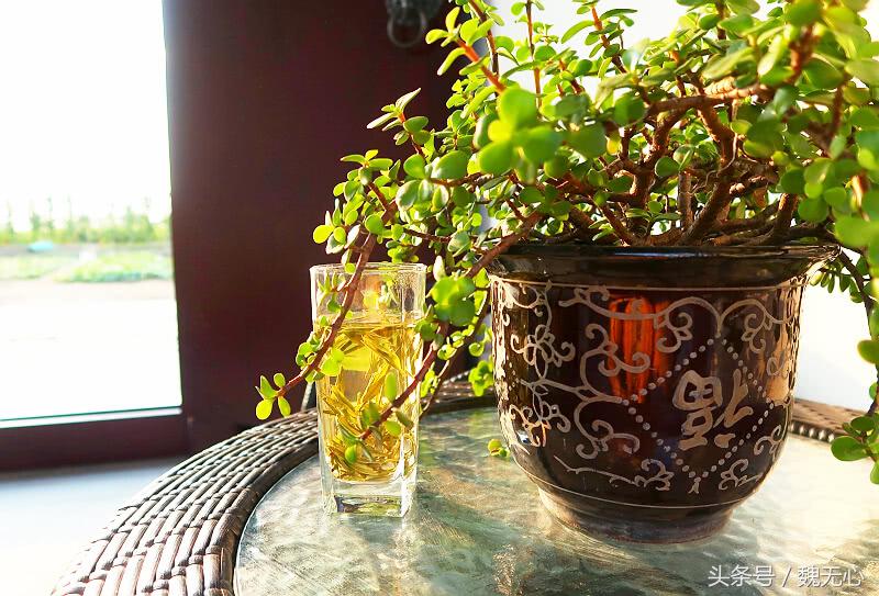 去阳澄湖吃大闸蟹一日游10月份,去阳澄湖吃大闸蟹一日游蟹行天下