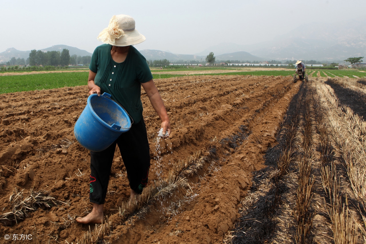含氯复合肥对辣椒有害吗,含氯复合肥对植物影响