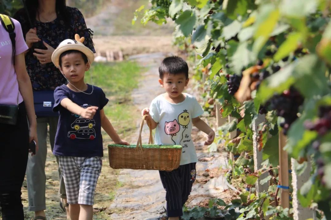 人民日报推动经济高质量发展,人民日报生态振兴