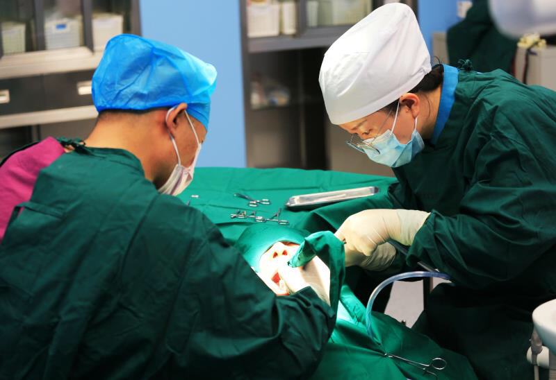 武汉市汉阳区最便宜的种植牙,武汉市哪里种植牙最便宜