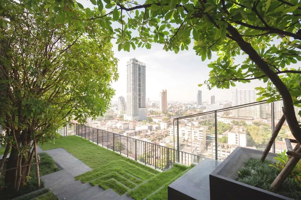 屋顶景观设计常见问题,设计园林的思路