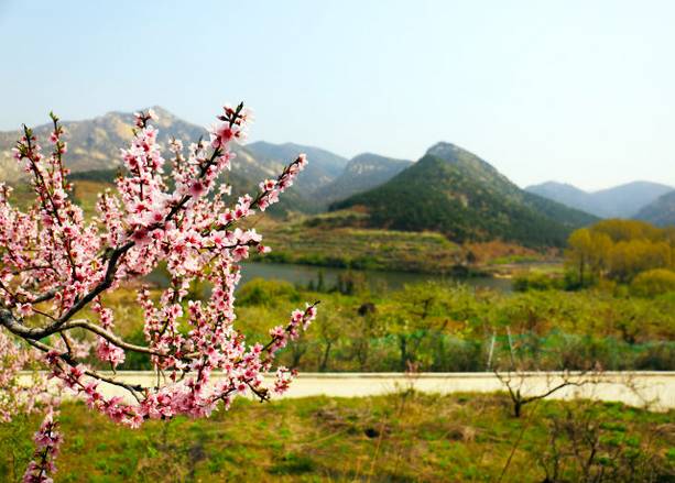威海双节旅游,十一黄金周接待市民游客